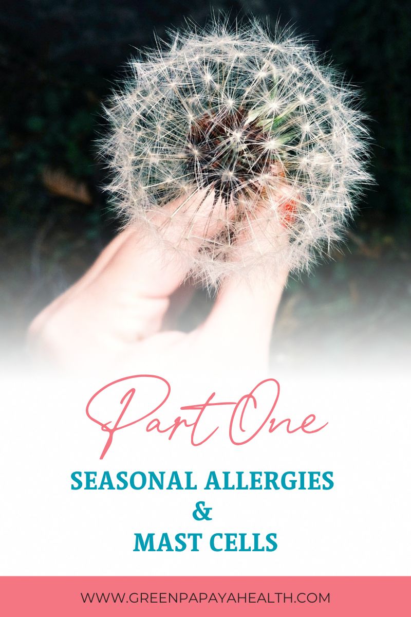 In our Seasonal Allergy Blog Series, Green Papaya Health discusses the connection between seasonal allergies and complex chronic medical conditions like mast cell activation syndrome. Read on to learn about some of the potential root causes of seasonal allergy symptoms. 