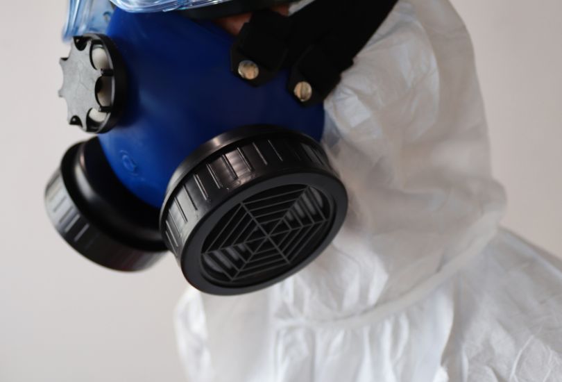 3 Things to Know About Mold Remediation